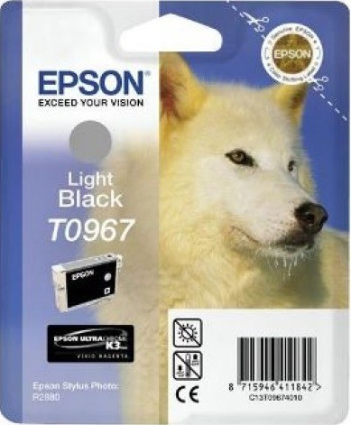 C13T09674010 Картридж Epson T0967 для R2880 (Light Black) (cons ink)